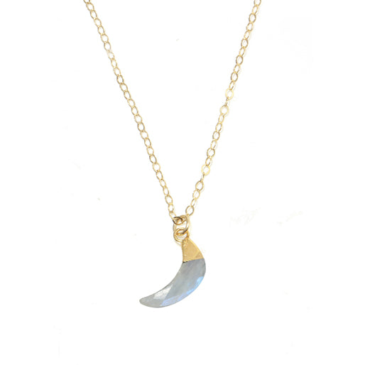 Labradorite Horn Necklace