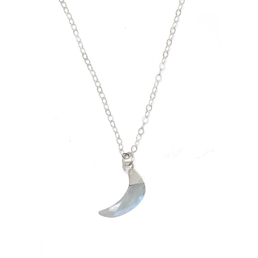 Labradorite Horn Necklace