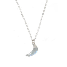 Labradorite Horn Necklace